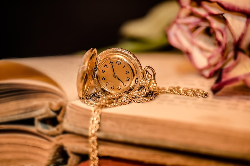 Ethical Time Traveler